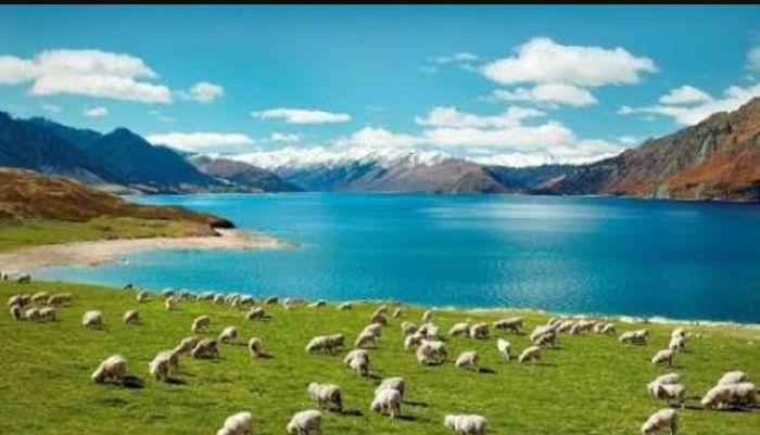 Mi Luna de Miel-lily 5