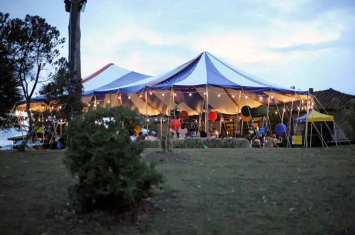 Ideas de una Ud-boda circo - 1