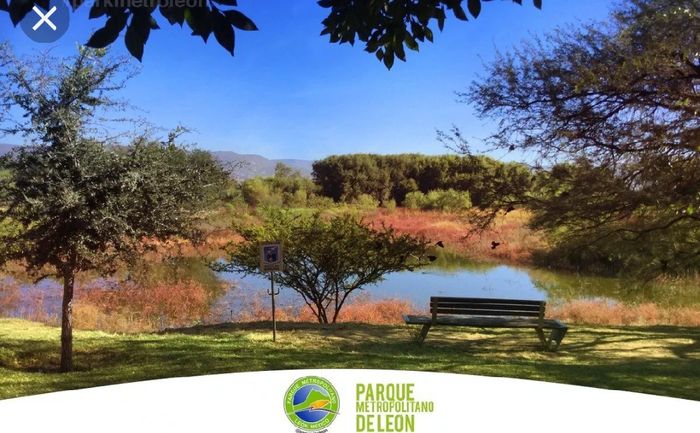 Parque Metropolitano para fotos - 8
