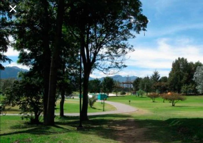 Parque Metropolitano para fotos - 10