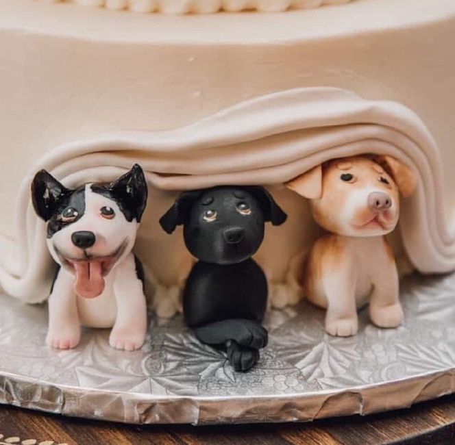 El pastel perfecto no exis... 3