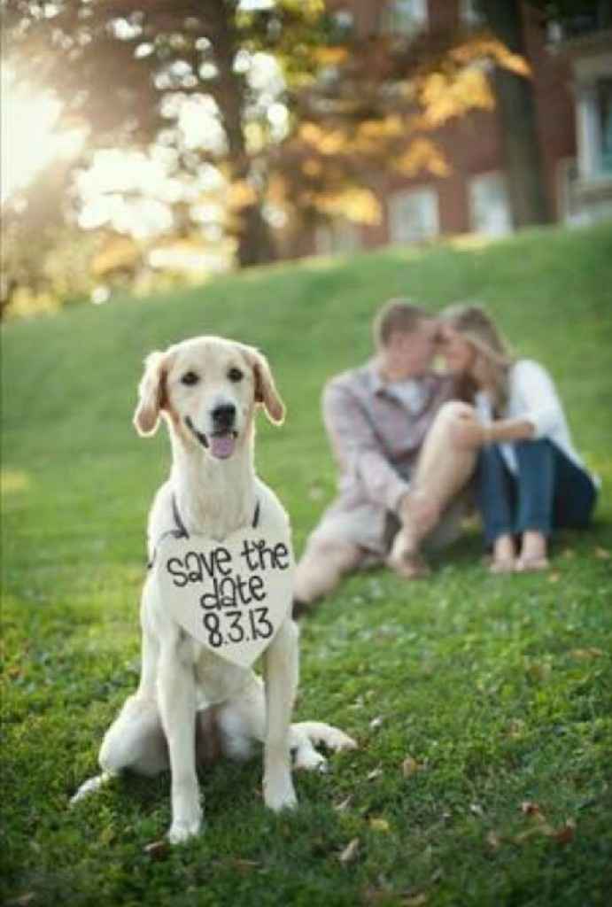 Save the date the dog - 3