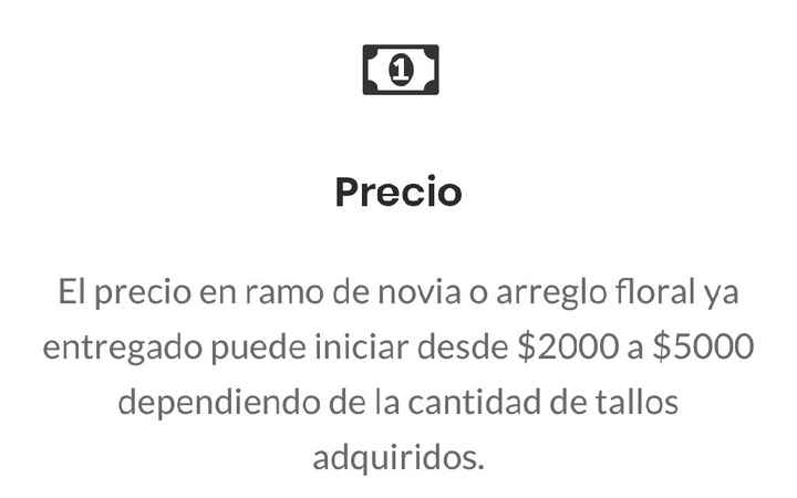 Peonías en noviembre - 2