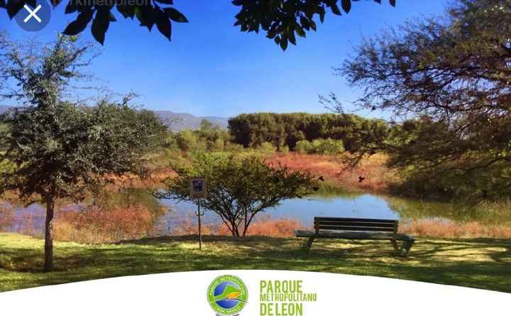 Parque Metropolitano para fotos - 8