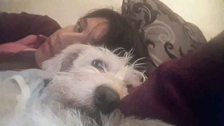 Presuman su foto... las mascotas!! - 1