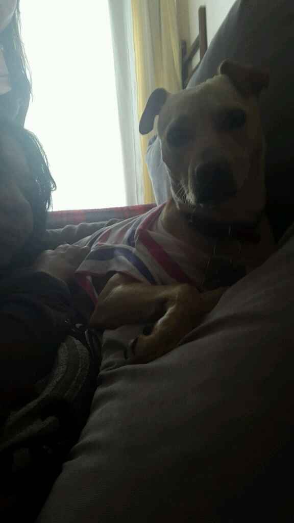 Presuman su foto... las mascotas!! - 3