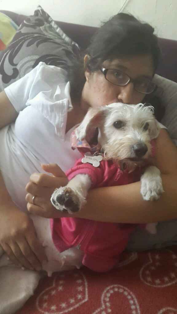 Quiero a mi perrito en mis fotos!!! - 1