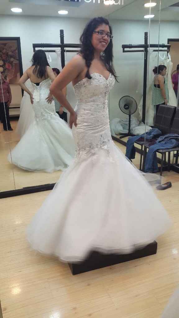 Buscando mi vestido (1) - 1