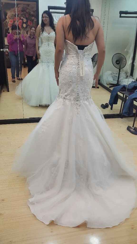 Buscando mi vestido (1) - 2