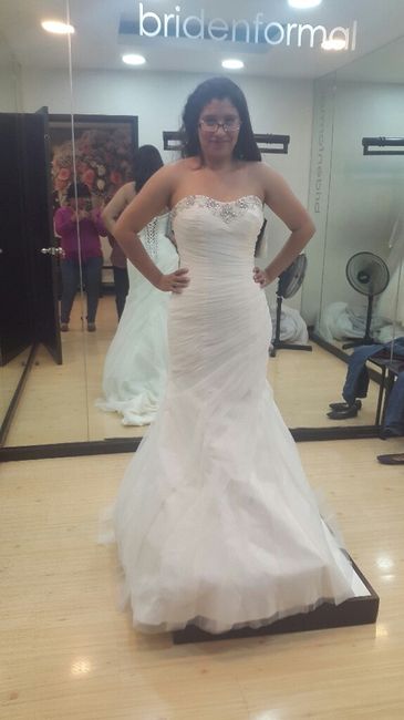 Este es mi vestido - 5