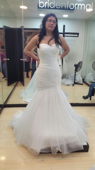Este es mi vestido - 8