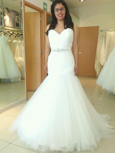 ¿Cuál fue el vestido que NO compraste? - 1