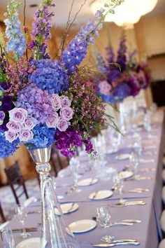 Purple and Royal Blue 