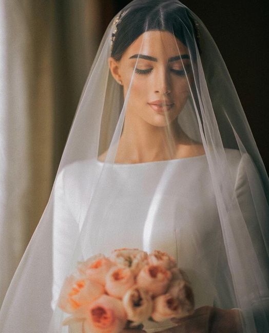 Velo de Novia 2