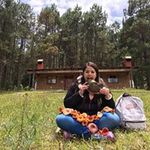 Lesly
