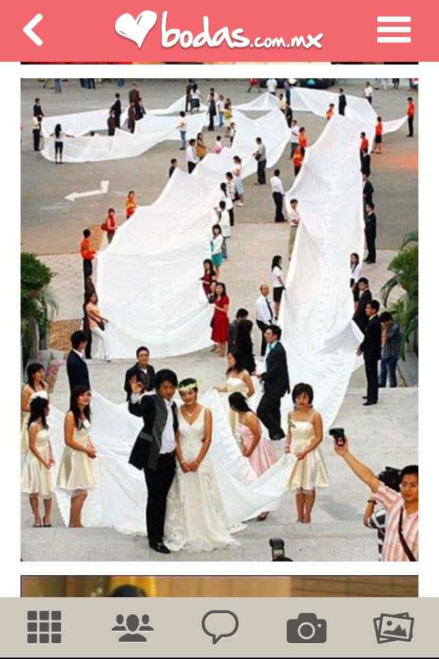 Cauda ¿que tan larga? - 1