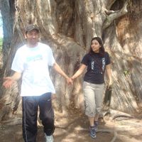 Ir juntos de la mano