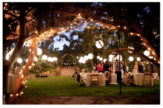 aprovechare este mes para comprar esas luces hermosas para que por la noche alucen asi de hermoso