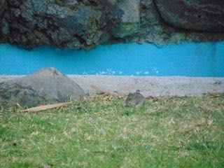 describe en una palabra... higienico? agradable? 