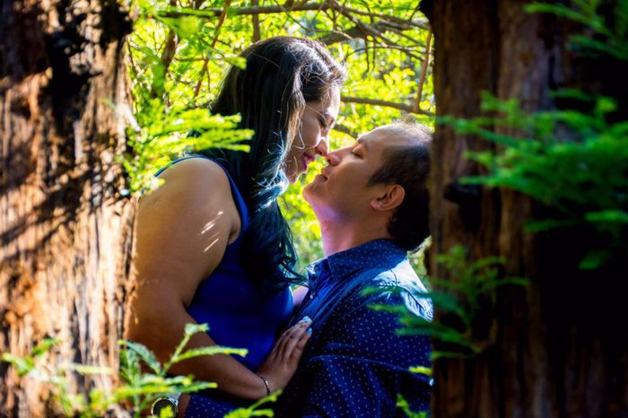 Foto y Vídeo bbb - 2