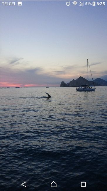  Nuestra luna de miel en los cabos - 3