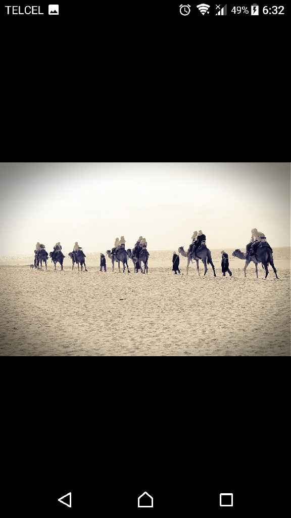 Nuestra luna de miel en los cabos - 15