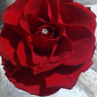 Mi tocado