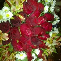 Rosas para la ocasión
