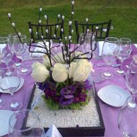 Qué bonitos arboles