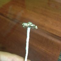 broche