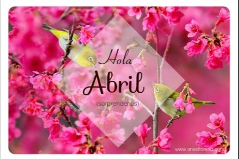 Marzo 2015/nuestro año - 2