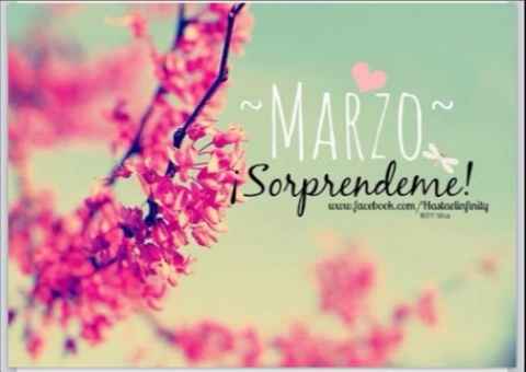 Marzo 2015/nuestro año - 1