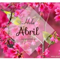 Marzo 2015/nuestro año - 2