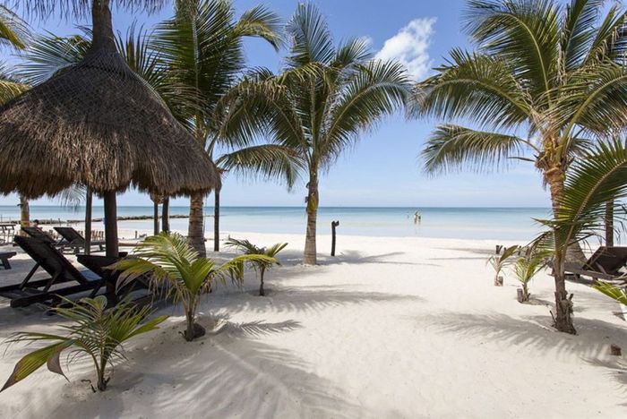 Holbox dream playa