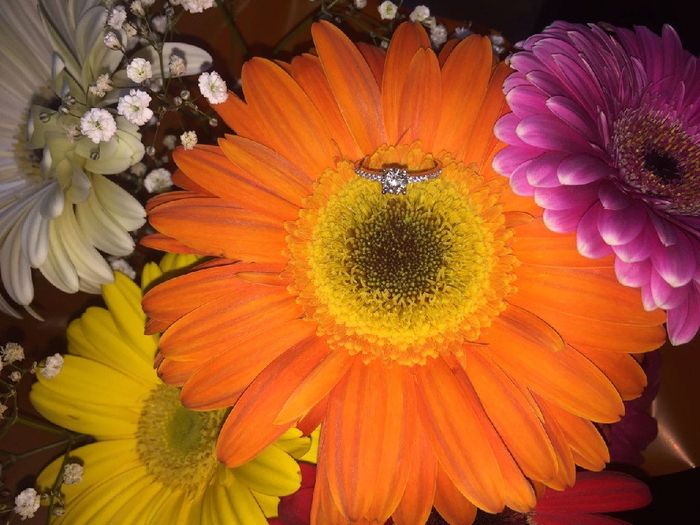 Anillo de compromiso. - 2