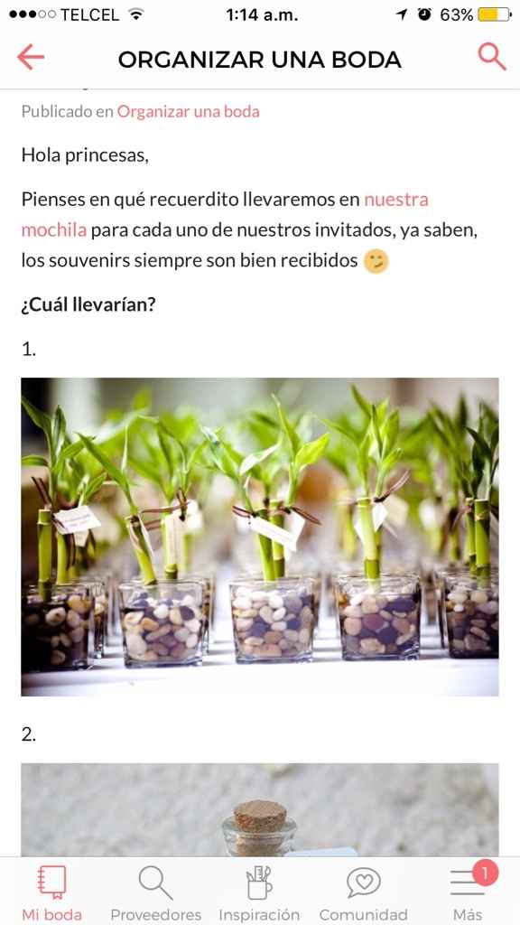 ¿Qué recuerdos para invitados llevarías en tu viaje? - 1