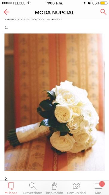 ¿Qué ramo de novia llevarías en tu mochila? - 1