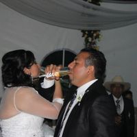 BRINDIS 2