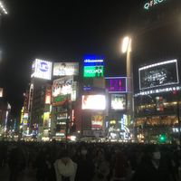  Luna de miel en Japón - 1