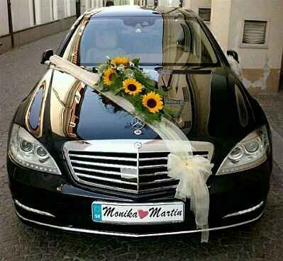  Ya me decidí !! - 2