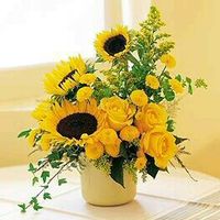  Ya me decidí !! - 1