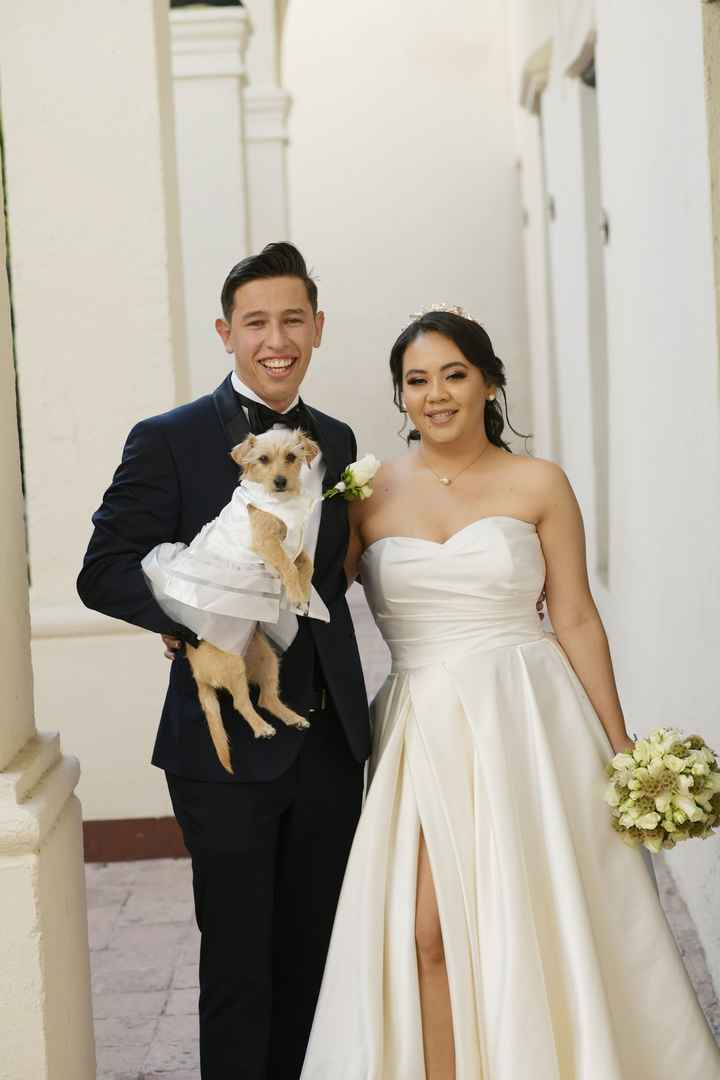 Boda pet friendly - 1