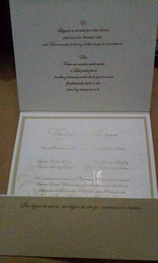 Mis avances a 38 días - 5