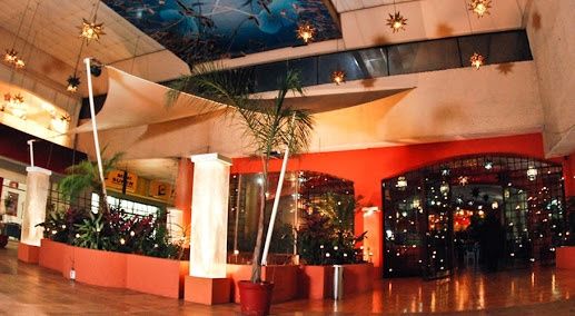 Mis avances a 38 días - 4