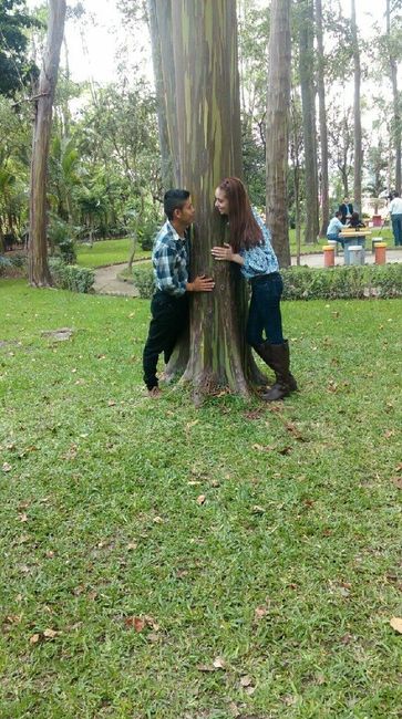 De regreso brides & grooms - 2