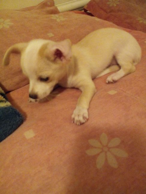 Preséntate a la comunidad!! (para conocernos mejor) - 2