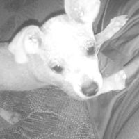 La foto de tu mascota! - 3