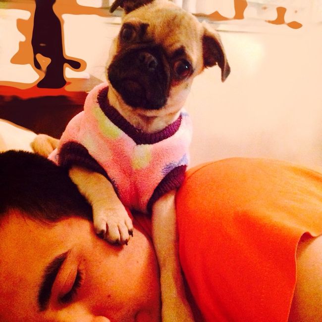 Ustedes ya tiene mascota para su futuro o ya hogar?? - 1