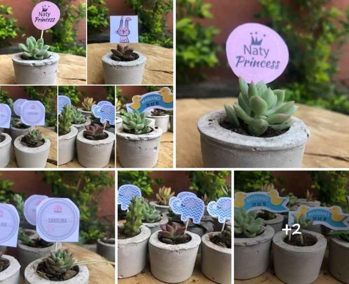 Plantitas