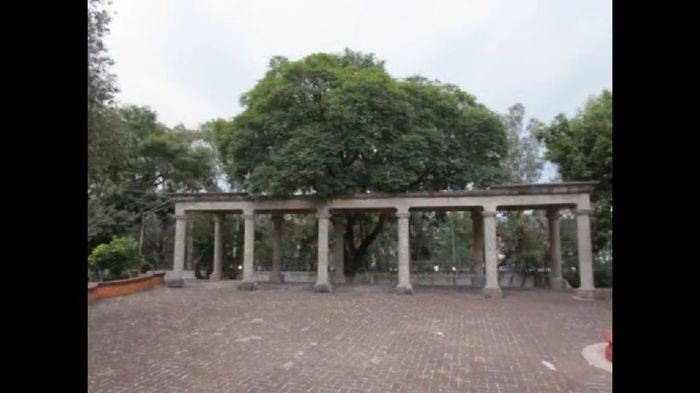 ¡pistas de baile! - 1